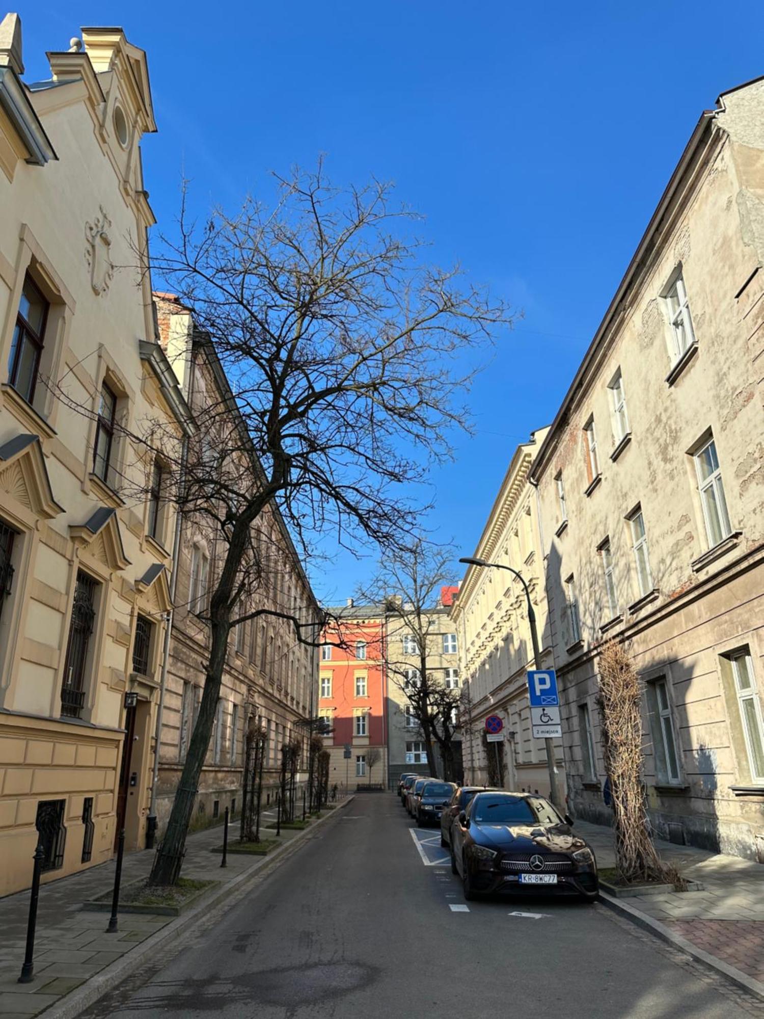 Perfect Place To Stay In Krakow City Center 36M2 W3 Екстериор снимка